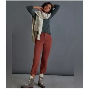 Pilcro Anthropologie The Wanderer Utility Ladies Pants Size 28